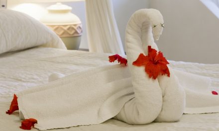 It Looks Like Being A Responsible Citizen Could Mean The End Of Towel Animals…