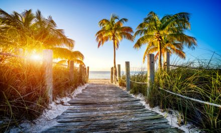 Florida Life: What To Pack, What Not To Pack & What Season Matters