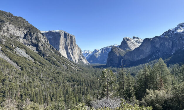 Exclusive Look At Escorted Yosemite National Park Cruise.co.uk Package!