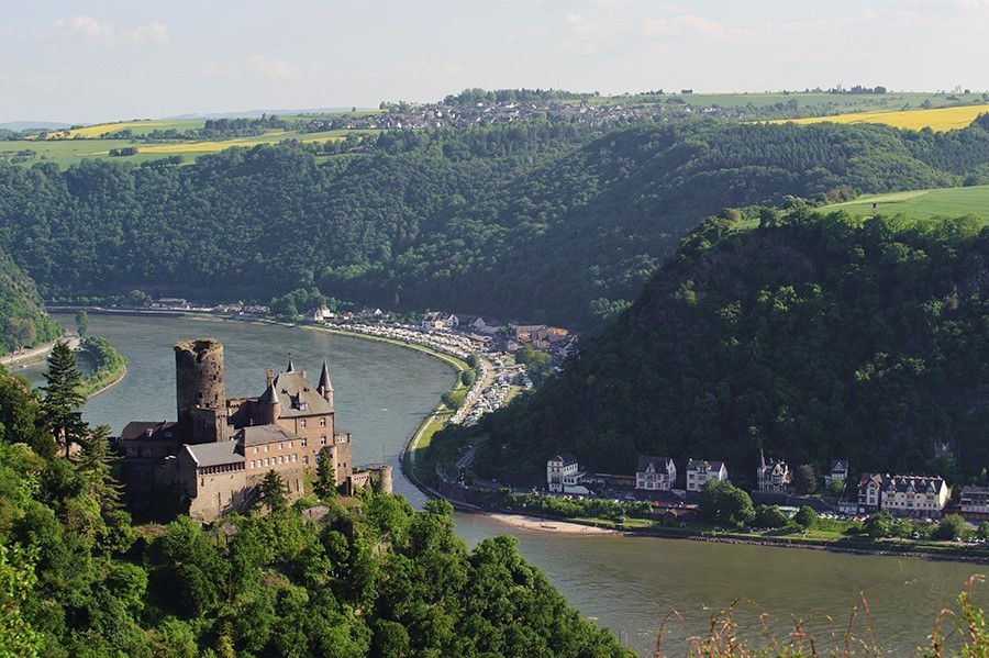 Rhine[1]