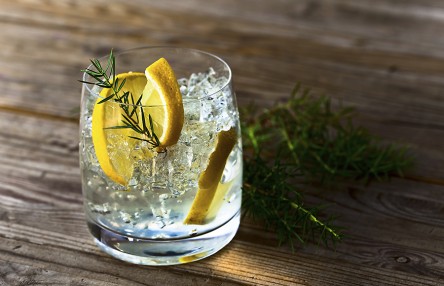 Gin with lemon and ice