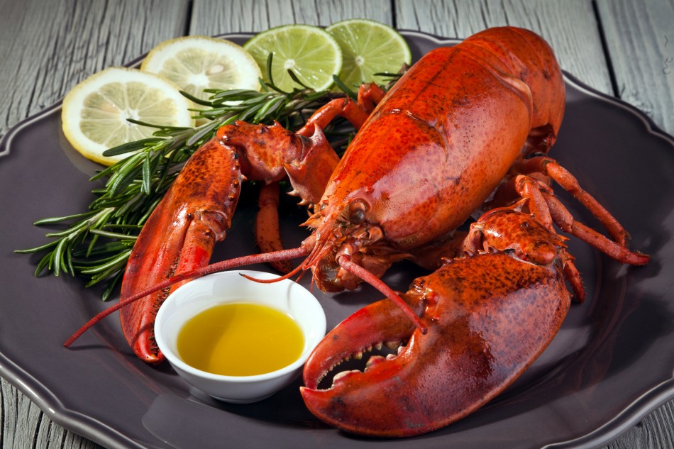 lobster food 