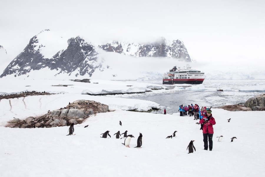 Penguin trip with Hurtigruten