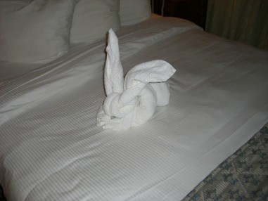 rabbit towel animal
