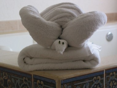 snail towel animal