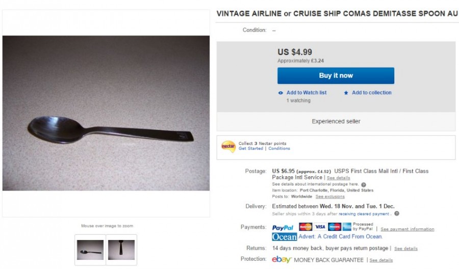 Questionable Cruise Ship Spoon