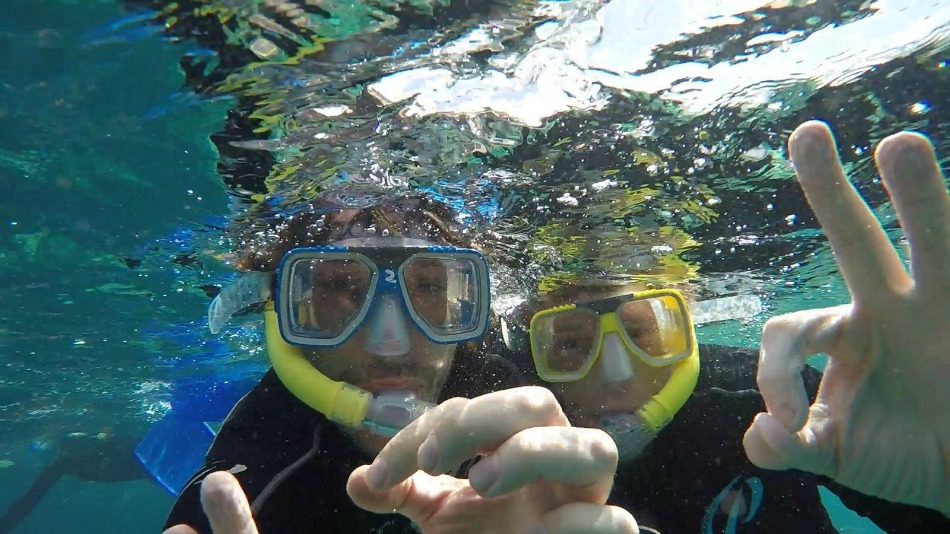 Snorkelling in the Great Barrier Reef