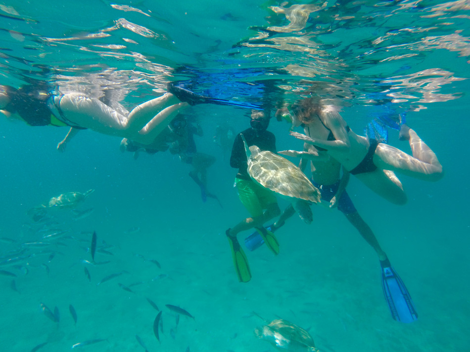 Barbados diving