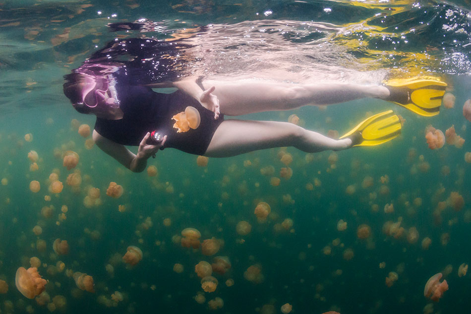 experiences jellyfish lake