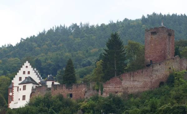 Mildenburg Castle