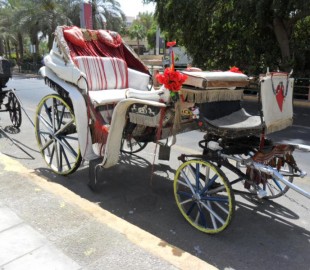 Carriage in Aqaba (a Jordanian coastal city situated at the northeastern tip of the Red Sea). 