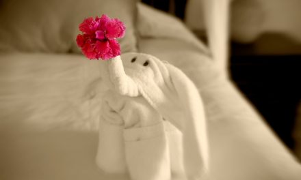 Fifteen Really Cool Towel Animals (And Seven Pretty Awful Ones)