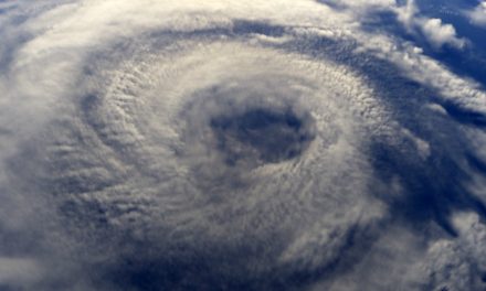 Hurricane Irma & Maria: Cruise Line Updates