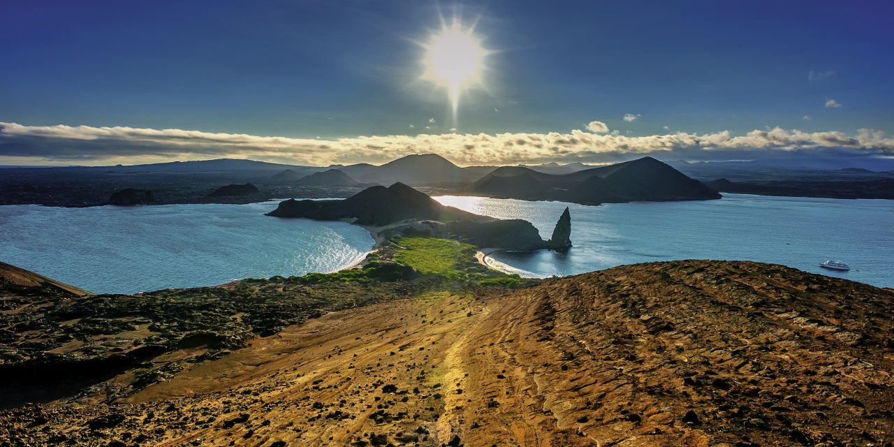 The Weird, Wacky and Wonderful Of The Galapagos Islands