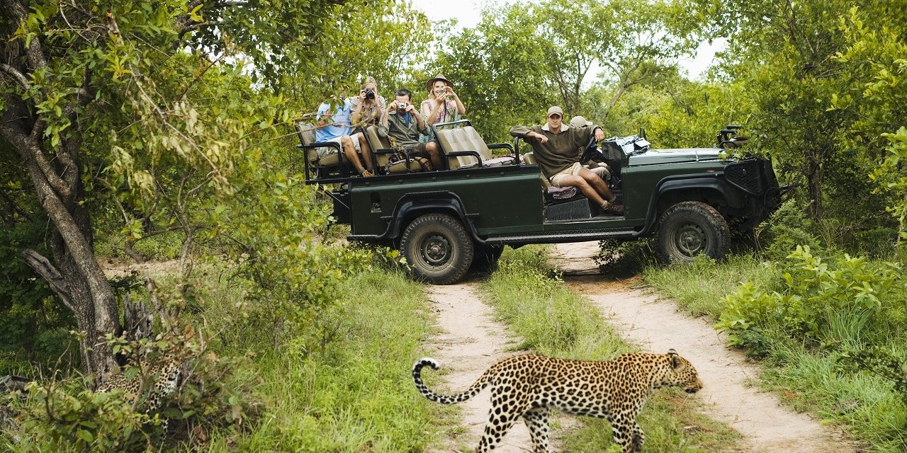 Three Reasons Kruger National Park Is The Hottest Right Now (Quite Literally)