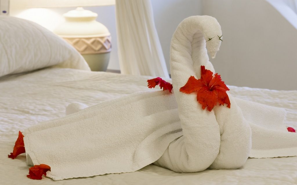 It Looks Like Being A Responsible Citizen Could Mean The End Of Towel Animals…