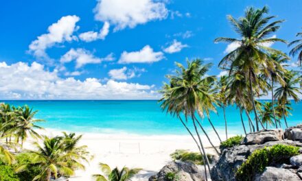 The Best Way To Experience Barbados And Its Cruise Port