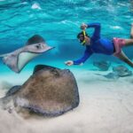 Eight Amazing Shore Excursions To Do In The Caribbean