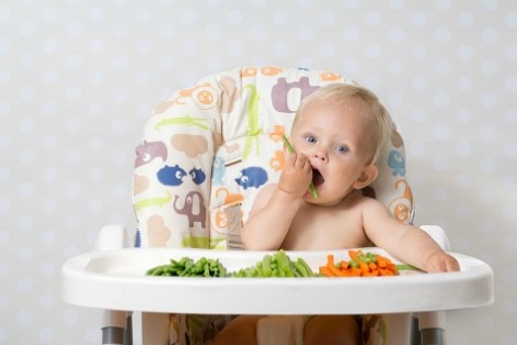 Baby in Highchair