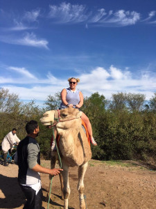 On a Camel in Marrakech! Dec 2016