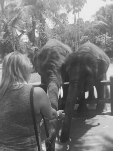 Feeding the Elephant!!