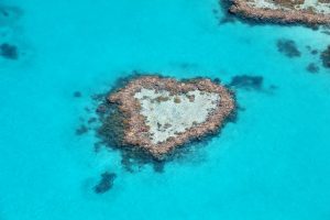 The famous Heart Shaped Reef!!