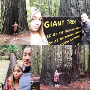 A Great Day in Redwood Forest!!