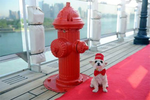Dog hydrant