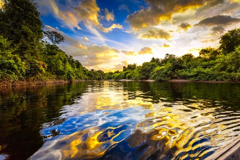 Dramatic landscape on a river in the amazon state Venezuela