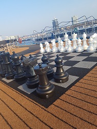Anyone for chess?