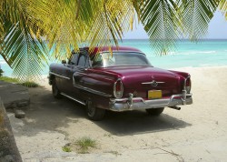 Beach scene with classic car from the sixties on the shores of Varadero beach, Cuba with palm tree in background