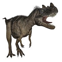 Ceratosaurus dinosaur roaring isolated in white background - 3D render