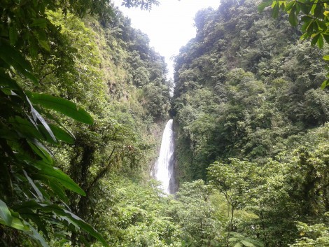 waterfall dominica